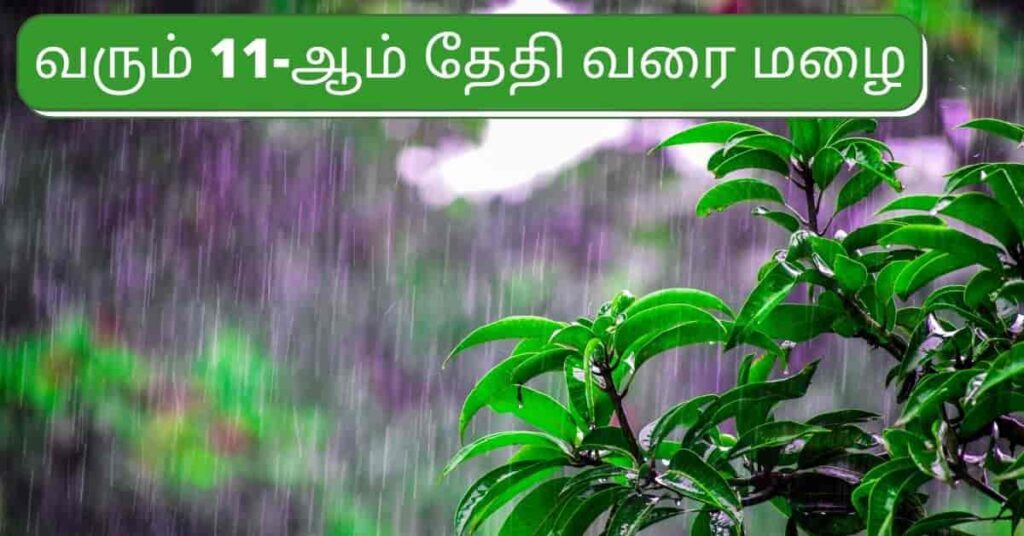 Announcement by the Director of the Rainy Meteorological Center Puviarasan till the 11th in Tamil Nadu