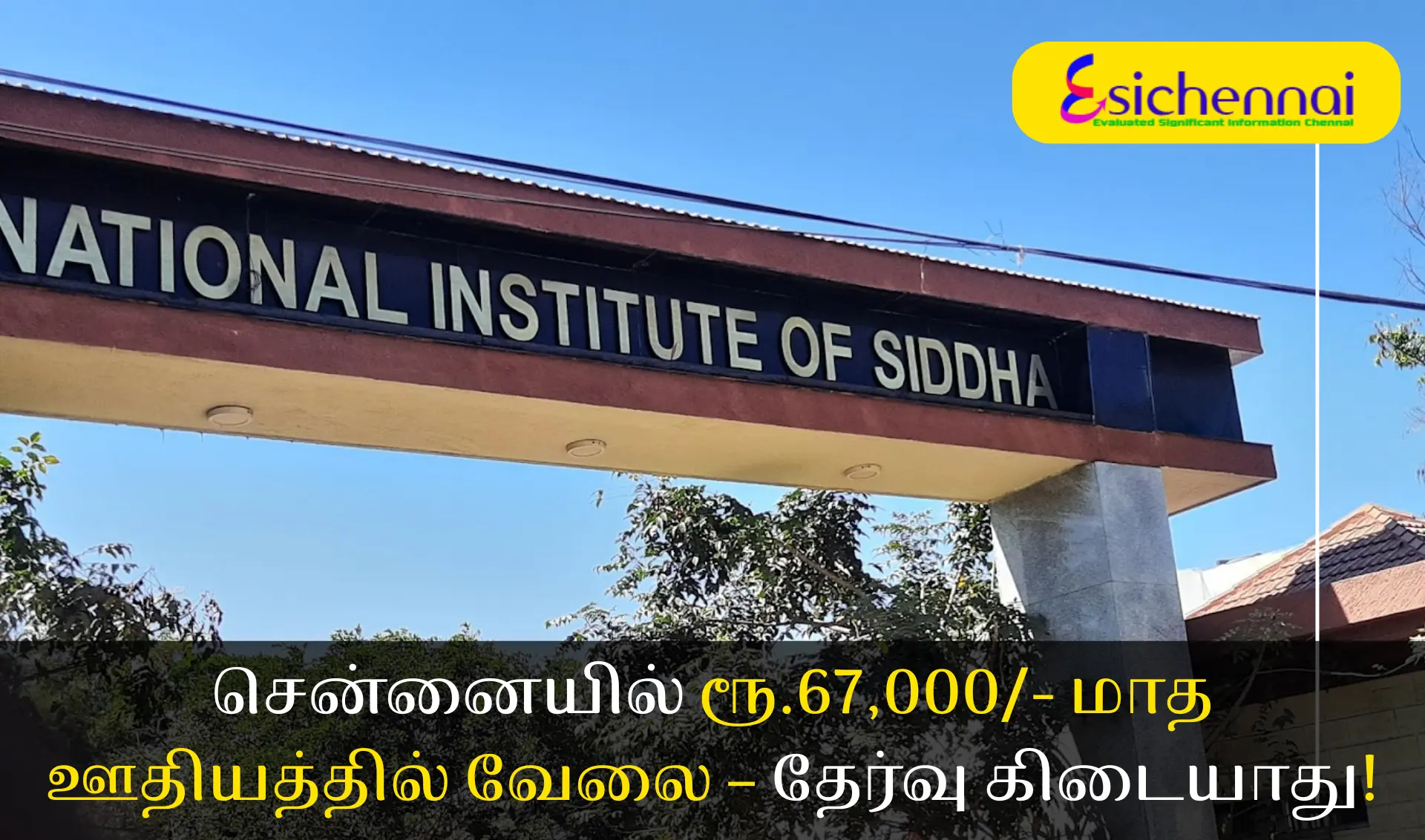 National Institute of Siddha Job Opportunity, No Exam Interested candidates can apply