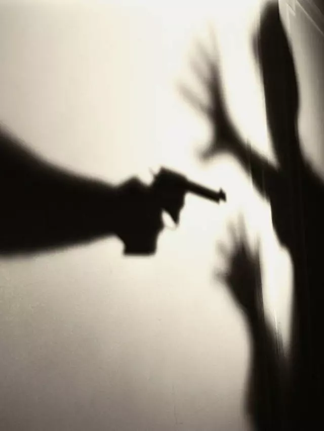 GUN FIRE IN JAIPUR TO MUMBAI TRAIN